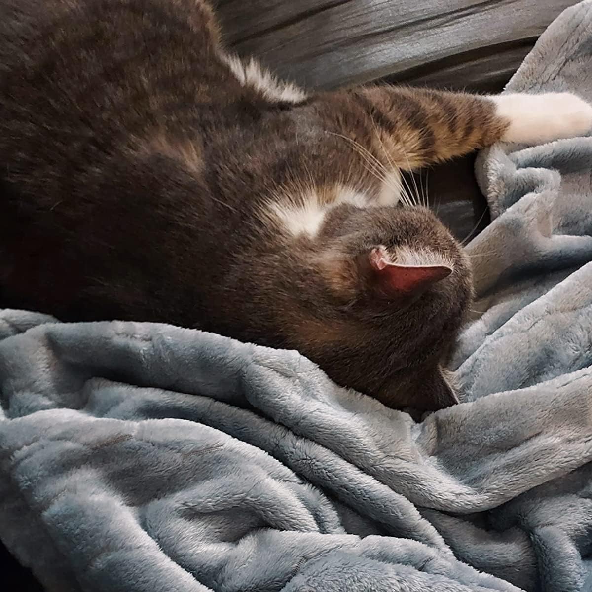 Fleece Blanket Super Soft Cozy Throw Blanket