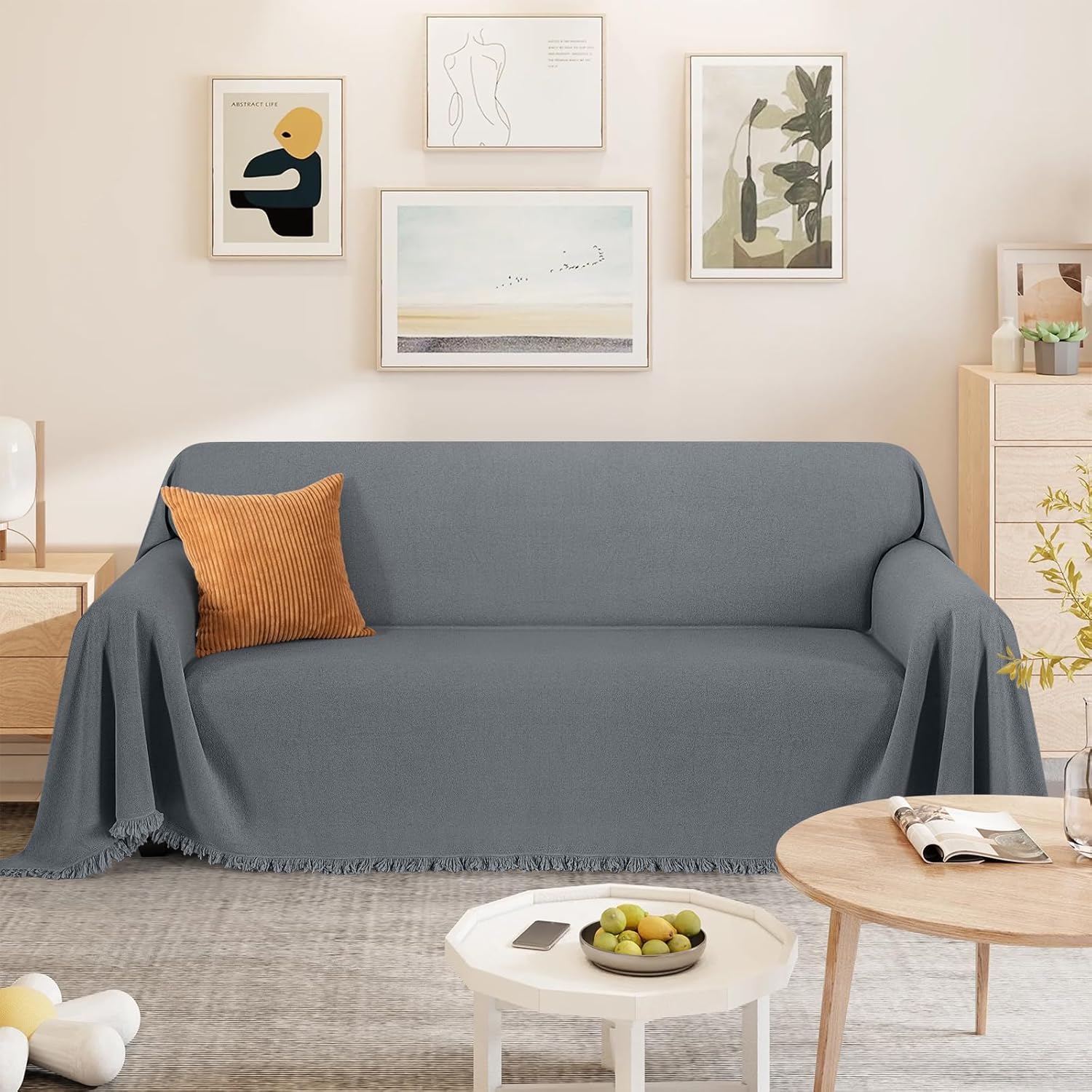 Couch Covers for Pets