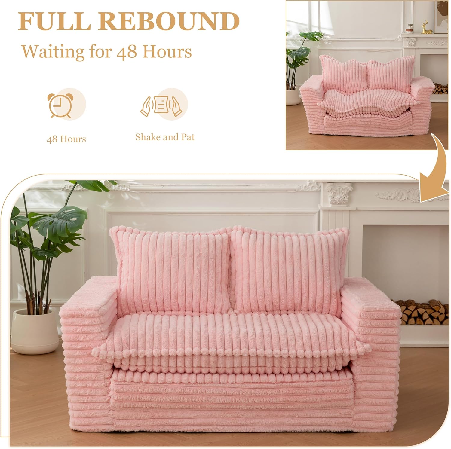Loveseat Sleeper Sofa