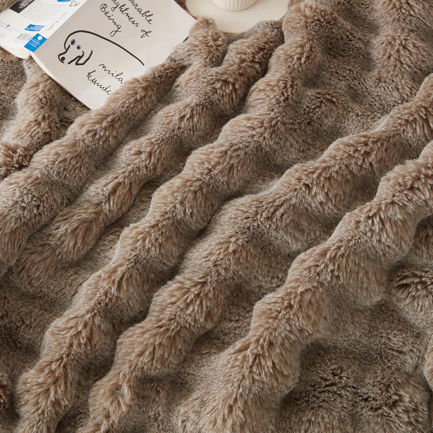 Fur Throw Blanket for Couch
